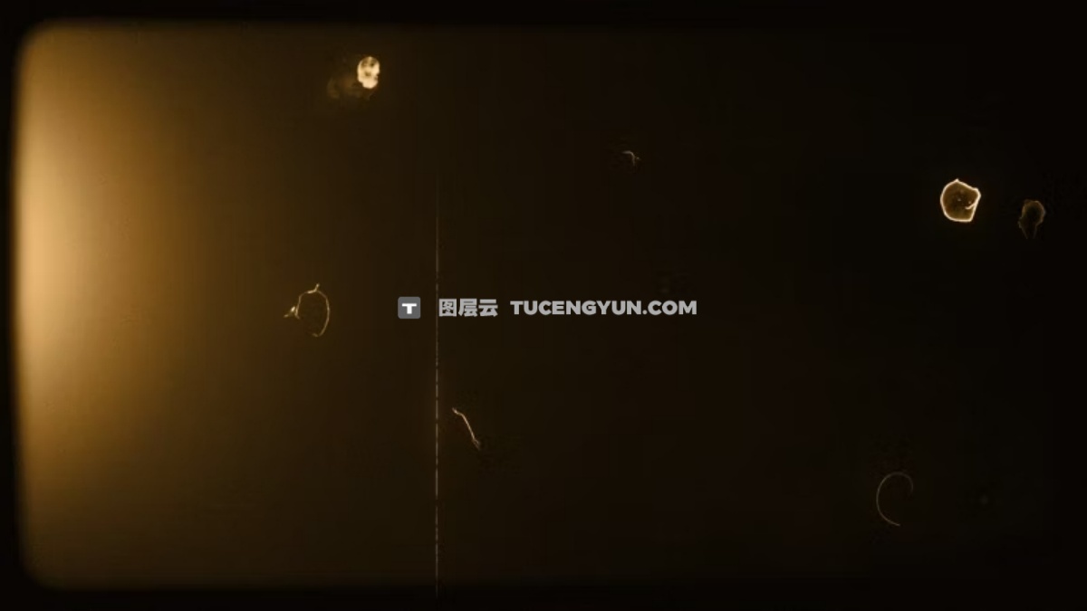 Artlist 20款复古美学邋遢旧棕褐色薄膜效果叠加纹理视频素材+音效素材 Sepia Old Sepia Vertical Film Effects（13293）
