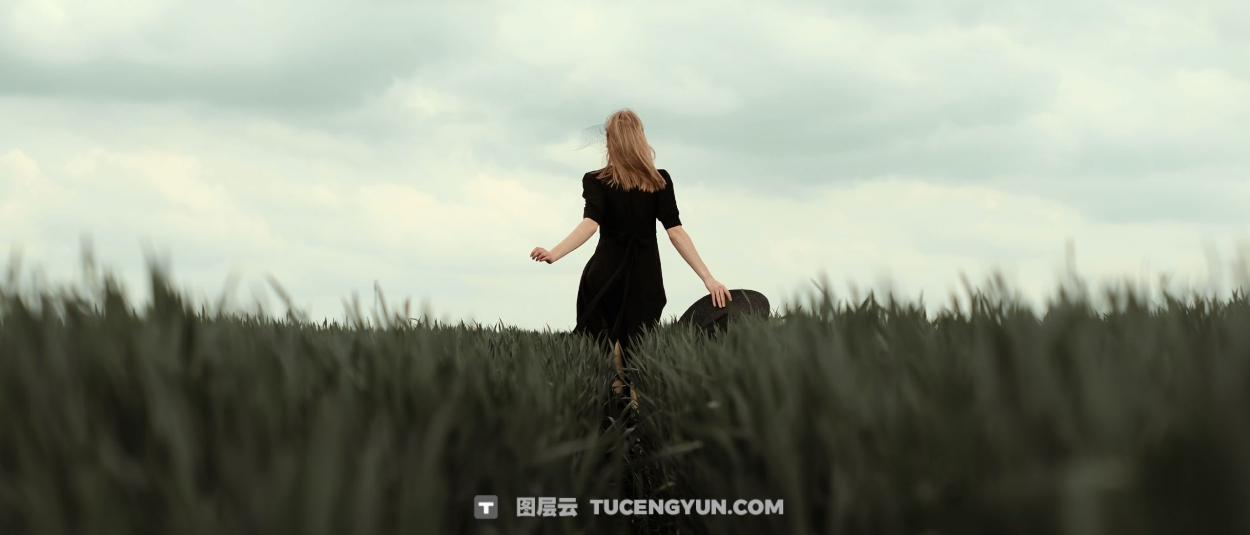 Gamut-FORIS 大胆棕绿色调婚礼、户外、风景、旅拍VLOG短片电影LUT调色预设（13227）