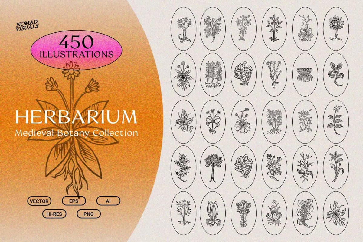 450个复古中式意境植物树枝树叶插花盆栽盆景AI矢量图形手绘插画设计套装 Herbarium Medieval Botany Collection（13346）