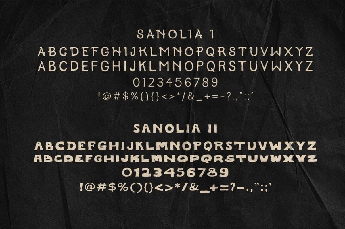 英文字体：复古松散厚实自然真实笔迹墨迹手写pop涂鸦艺术英文logo装饰字体 Sanolia Hand-Drawn Typeface（13302）