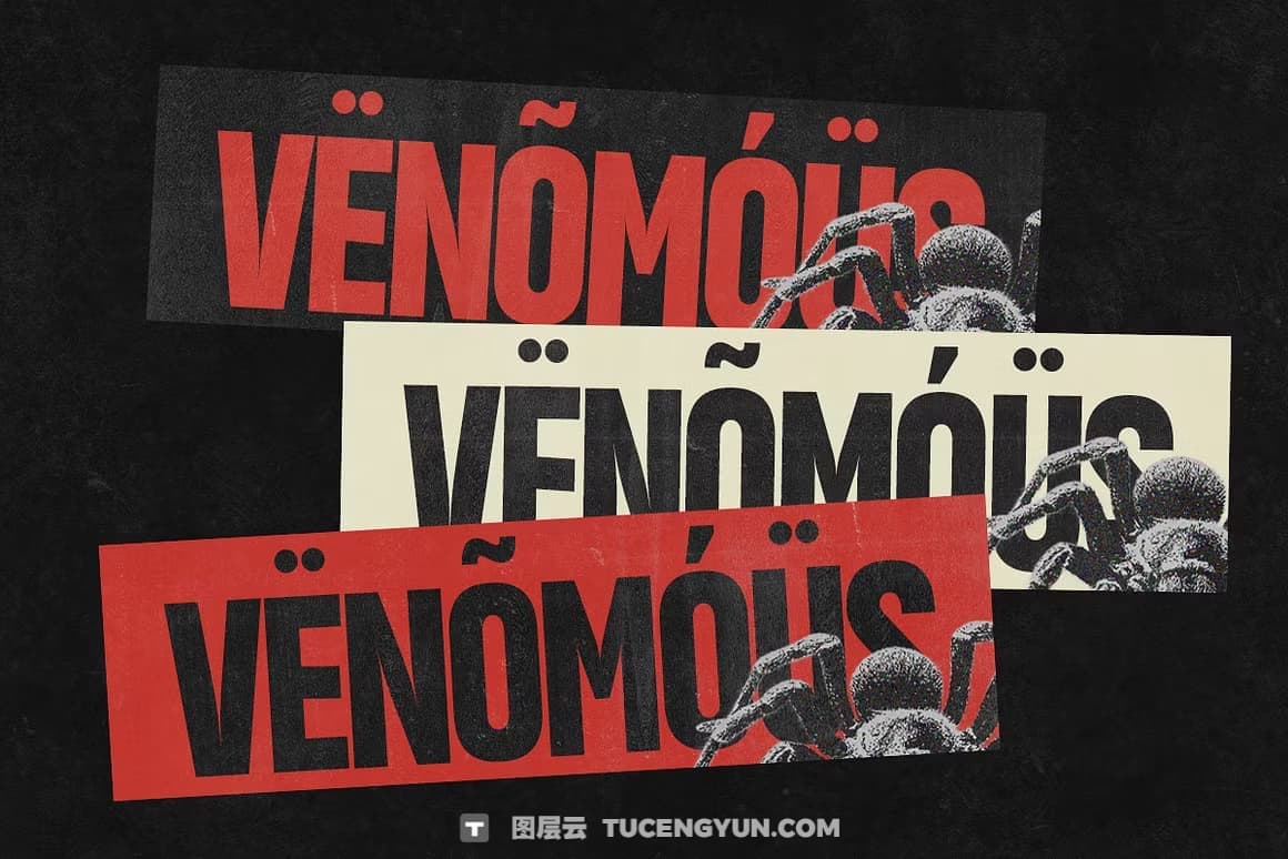 英文字体：大胆冲击力感极简品牌浓缩logo标题排版无衬线字体 Vank – Strong Bold Condensed（13421）