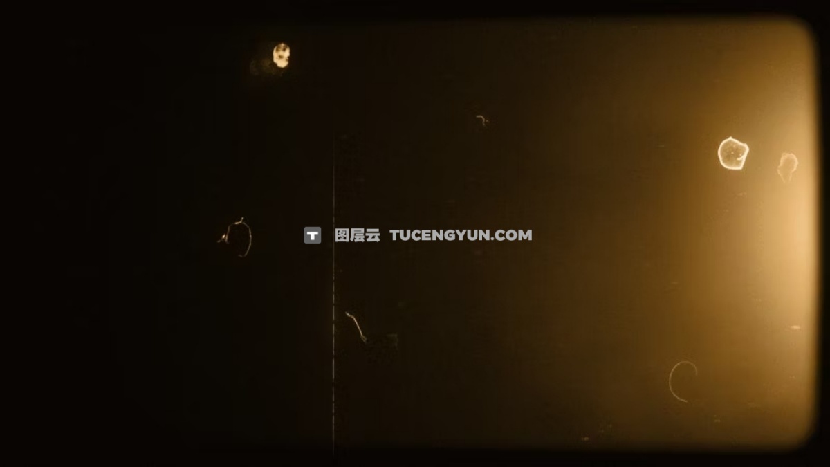 Artlist 20款复古美学邋遢旧棕褐色薄膜效果叠加纹理视频素材+音效素材 Sepia Old Sepia Vertical Film Effects（13293）