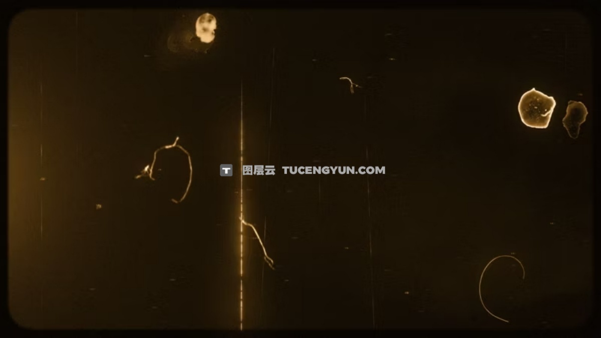 Artlist 20款复古美学邋遢旧棕褐色薄膜效果叠加纹理视频素材+音效素材 Sepia Old Sepia Vertical Film Effects（13293）
