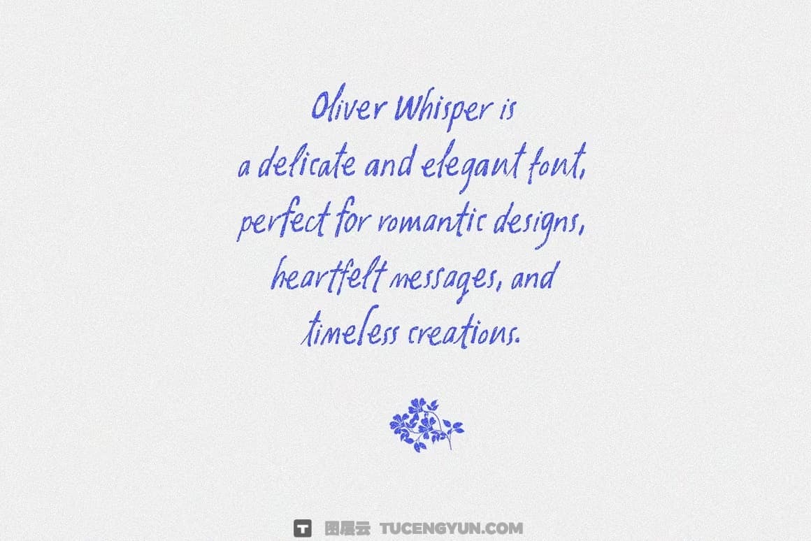 英文字体：复古潦草做旧手写风格钢笔水墨墨迹纹理笔触字体包 Oliver Whisper Messy Handwritten（13439）
